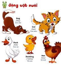 hình ảnh các con vật cho bé nhận biết